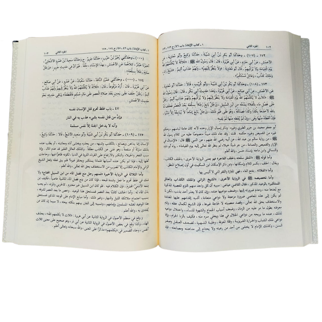 صحيح مسلم بشرح النووي - المنهاج - صفحات من داخل الكتاب | Wisdom Islamic Store