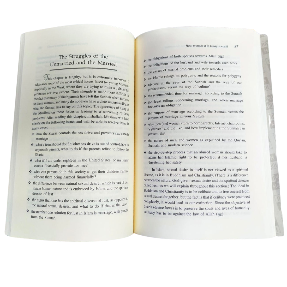 How to Make It in Today's World - Michael Tofte - Inside Pages | Wisdom Islamic Store